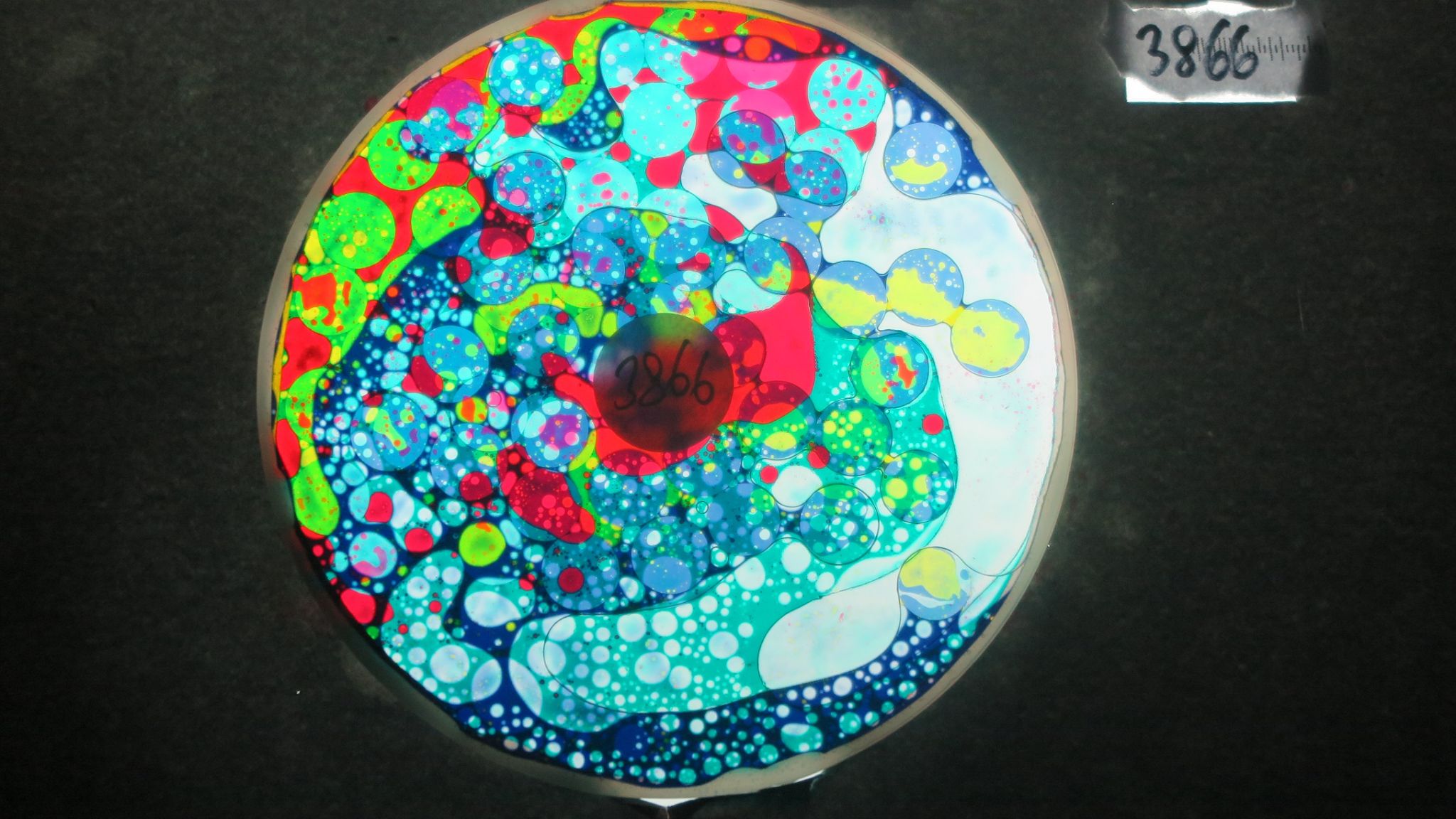 BV3868 bubble vision oil wheel